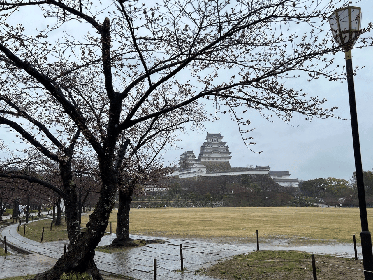 姫路城と桜20220326.png