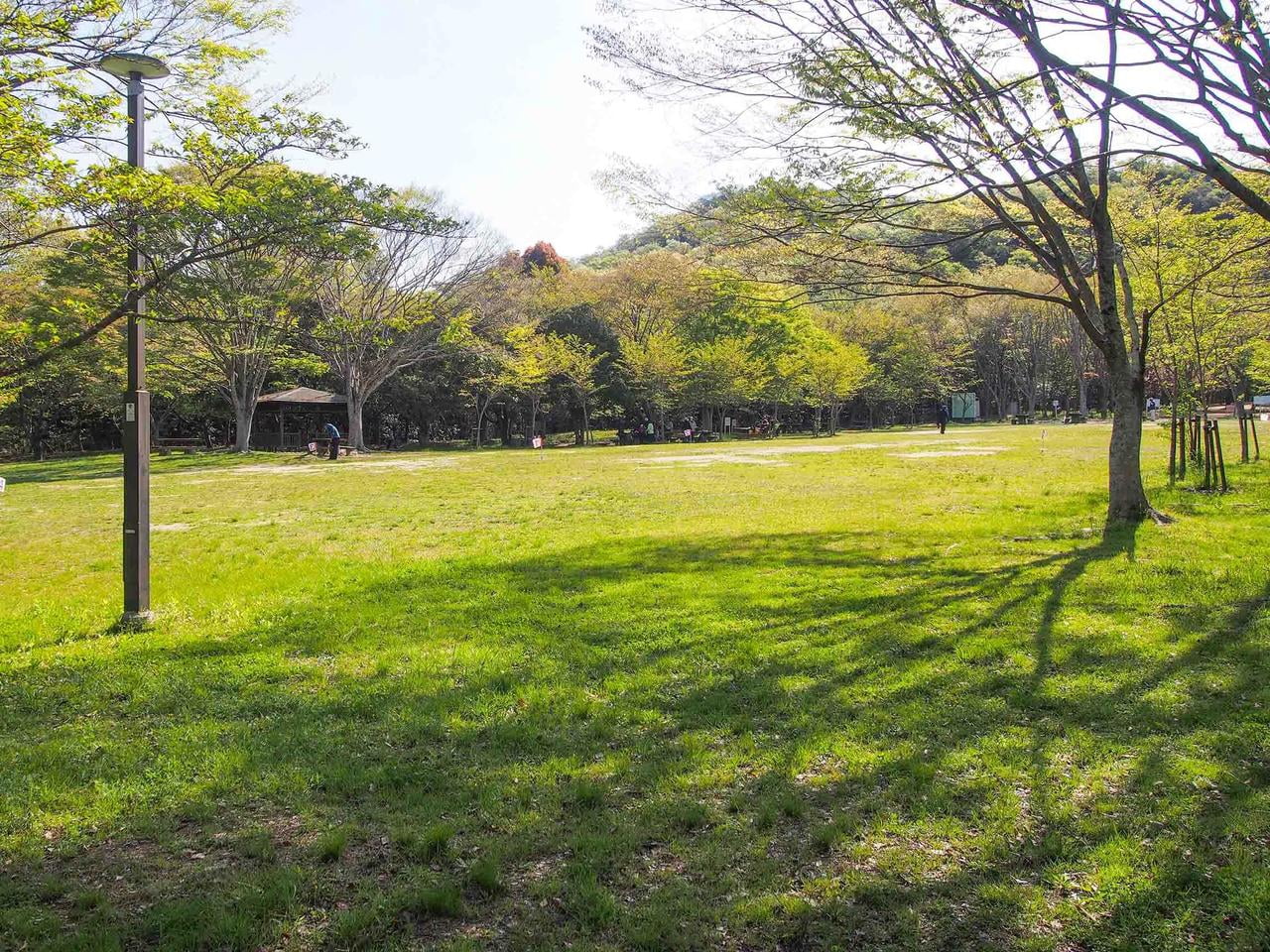 志方東公園 芝生の写真