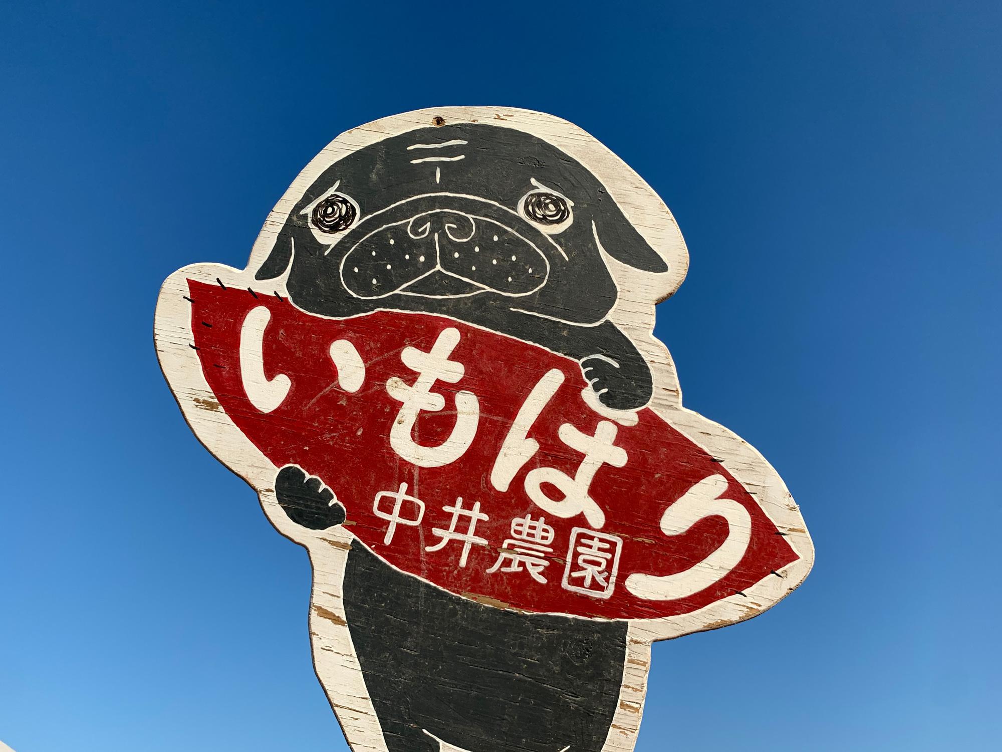 加工済_2409_さつまいもの収穫体験_写真03.jpg