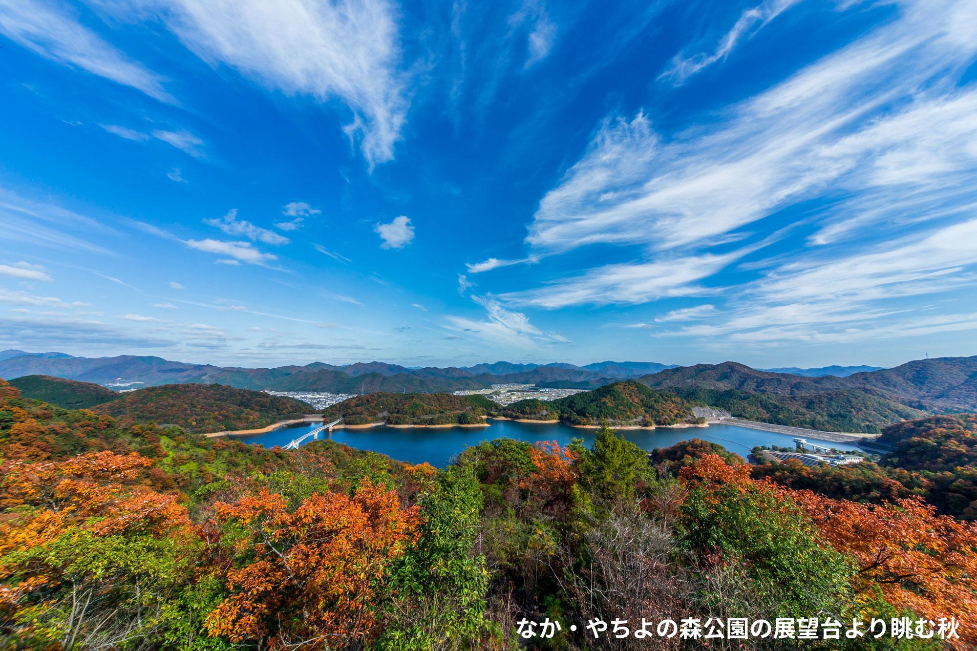 文字入れ加工済_2411_ふるさと納税返礼品_多可町_写真04（展望台より眺む秋）.jpg