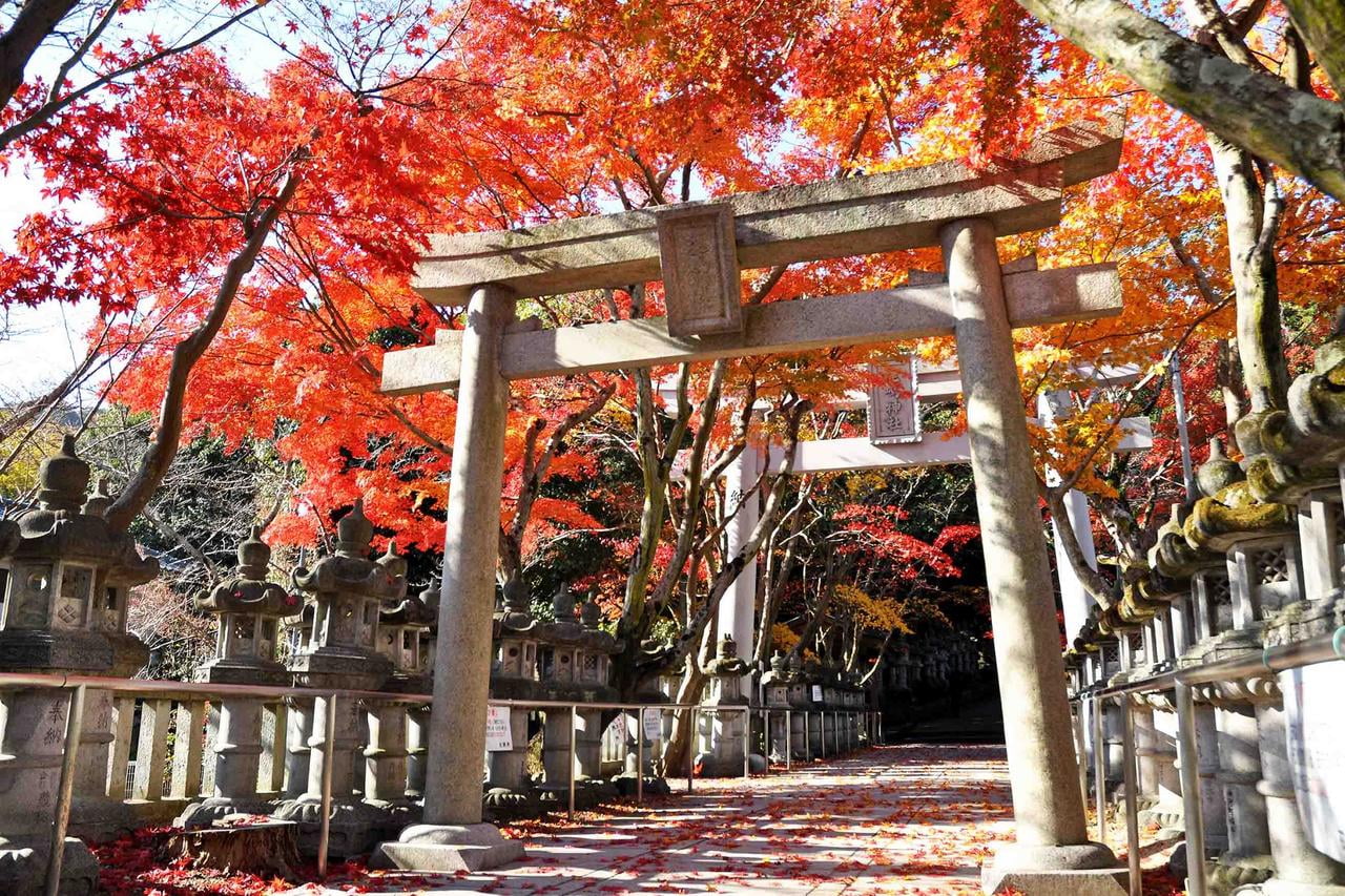 鹿嶋神社紅葉の写真