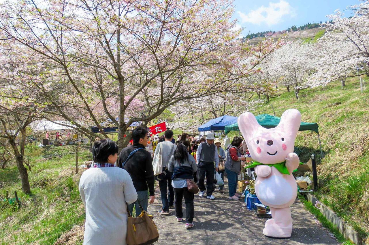 かみかわ桜華園さくらまつりの開催様子サクラとカーミンの着ぐるみと来場者の写真.jpg
