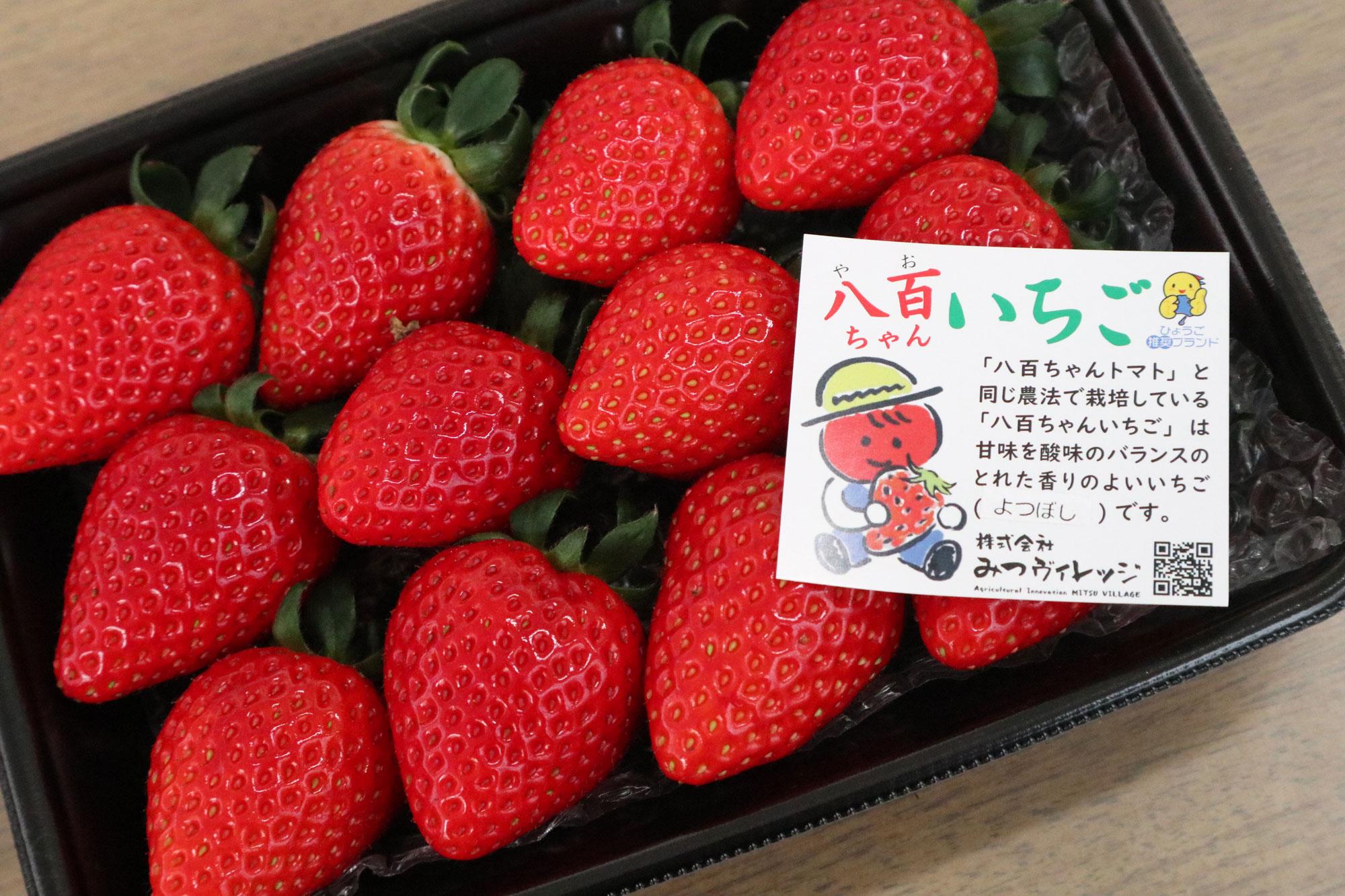 加工済_2602_巻頭特集「イチゴ」_みつヴィレッジ_写真02.jpg