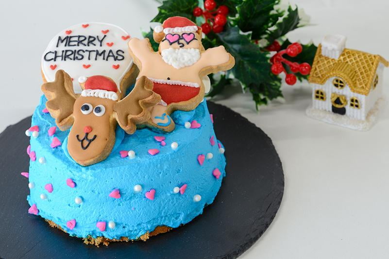 青色のクリームと水着のサンタがあしらわれたカラフルなクリスマスケーキの写真