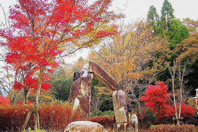 羅漢の里の紅葉の写真