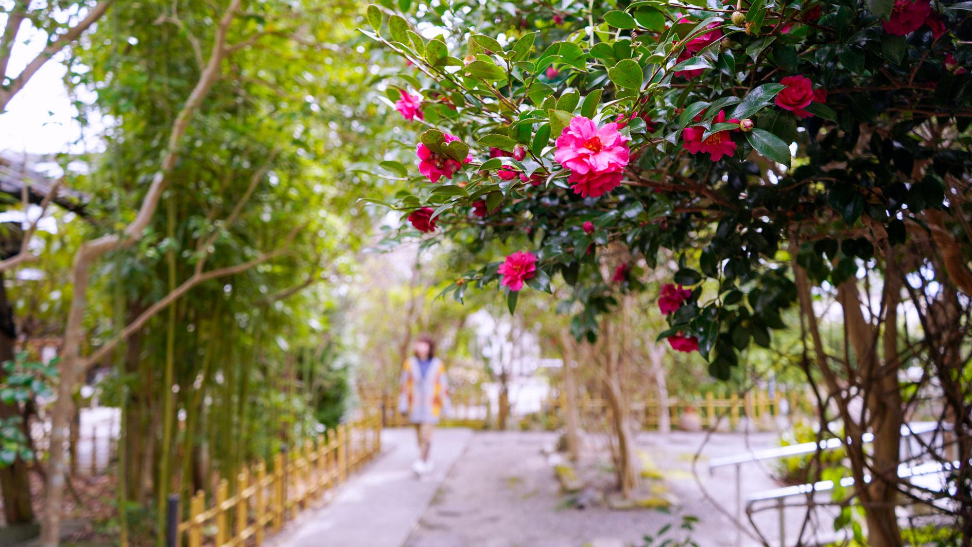 加工済_2504_加西市街ブラ_羅漢寺04.jpg