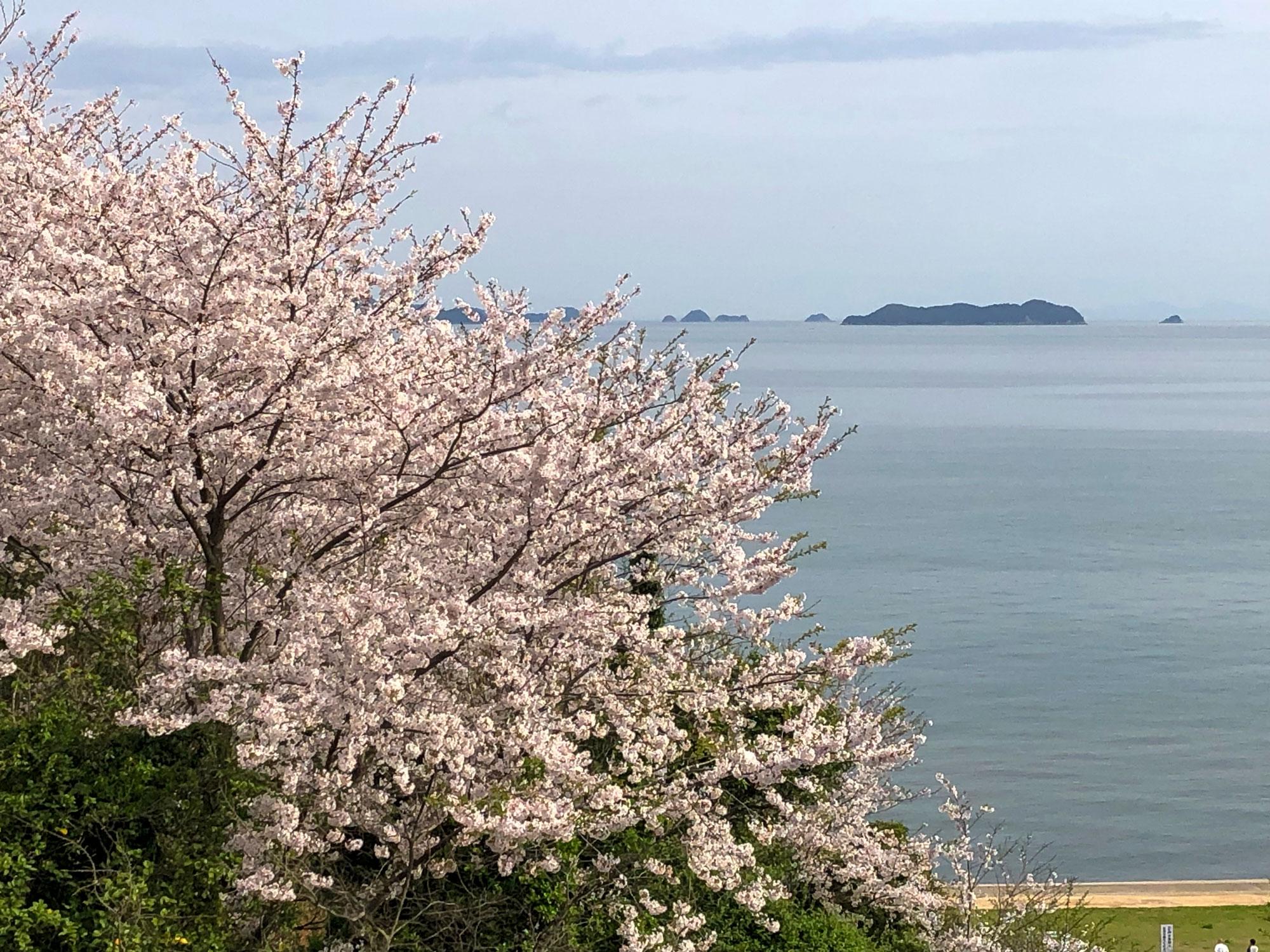 加工済_赤穂東御崎公園.jpg