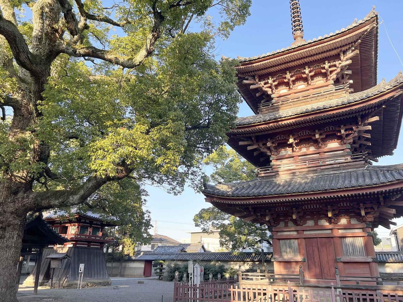 斑鳩寺