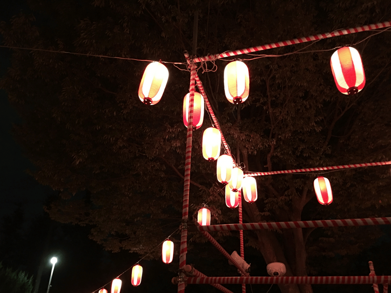 祭りの提灯の写真