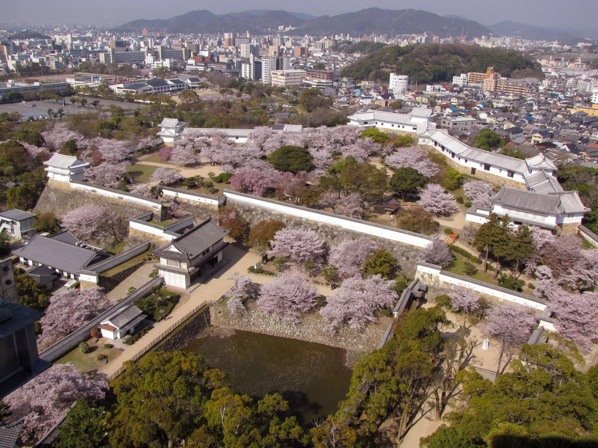 再加工済_西の丸庭園.jpg