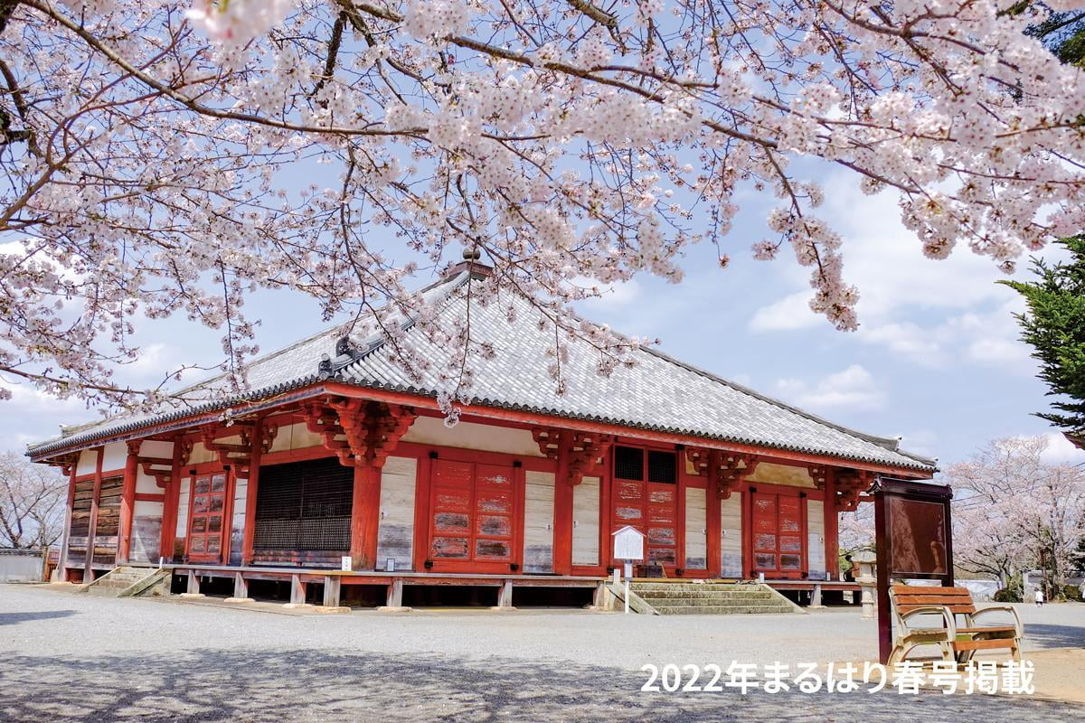 22haru_小野_貰浄土寺8718.jpg