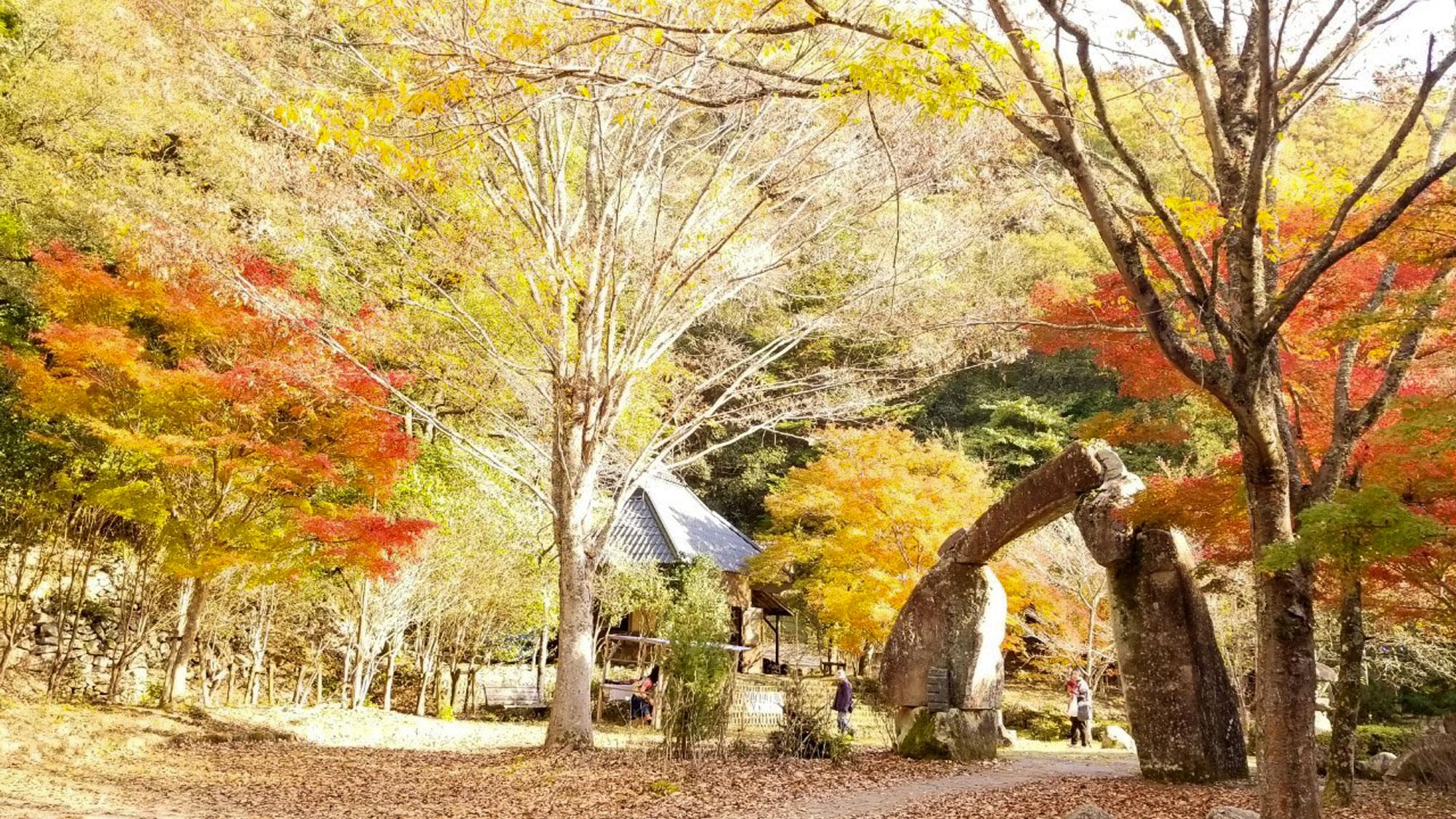 加工済_2411_魅力の播磨-紅葉_羅漢の里_写真.jpg