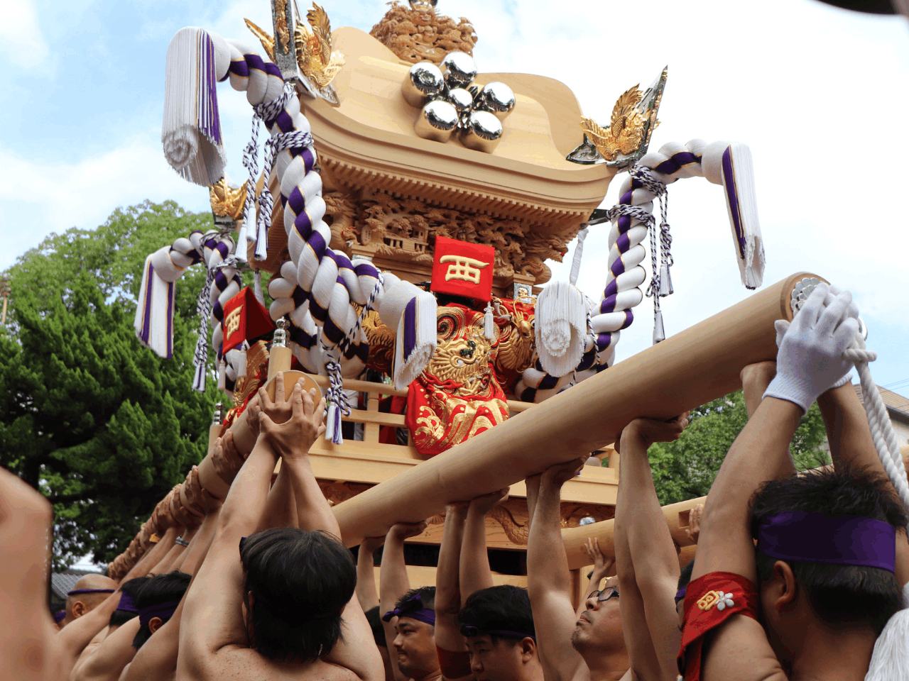 奥平 (3).png