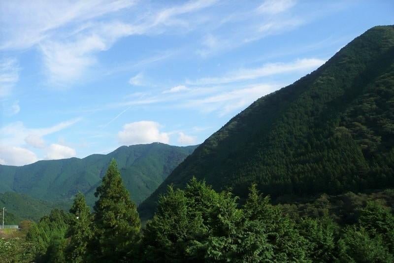 神河町 絶景 砥峰高原のススキ 秋におすすめ観光スポット みつけて播磨情報サイト 姫路みたい