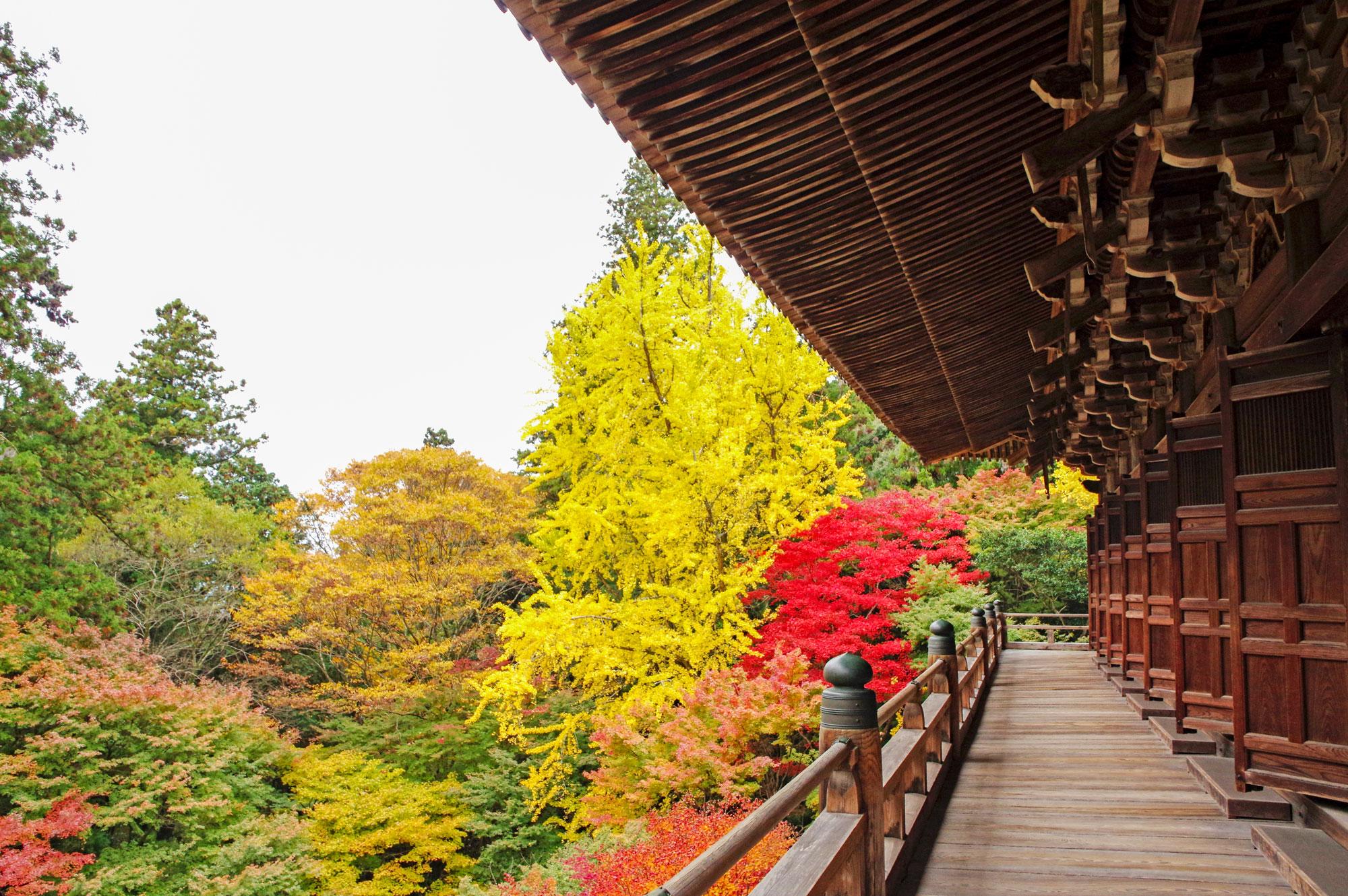 加工済_2411_魅力の播磨-紅葉_書寫山-圓教寺_写真.jpg