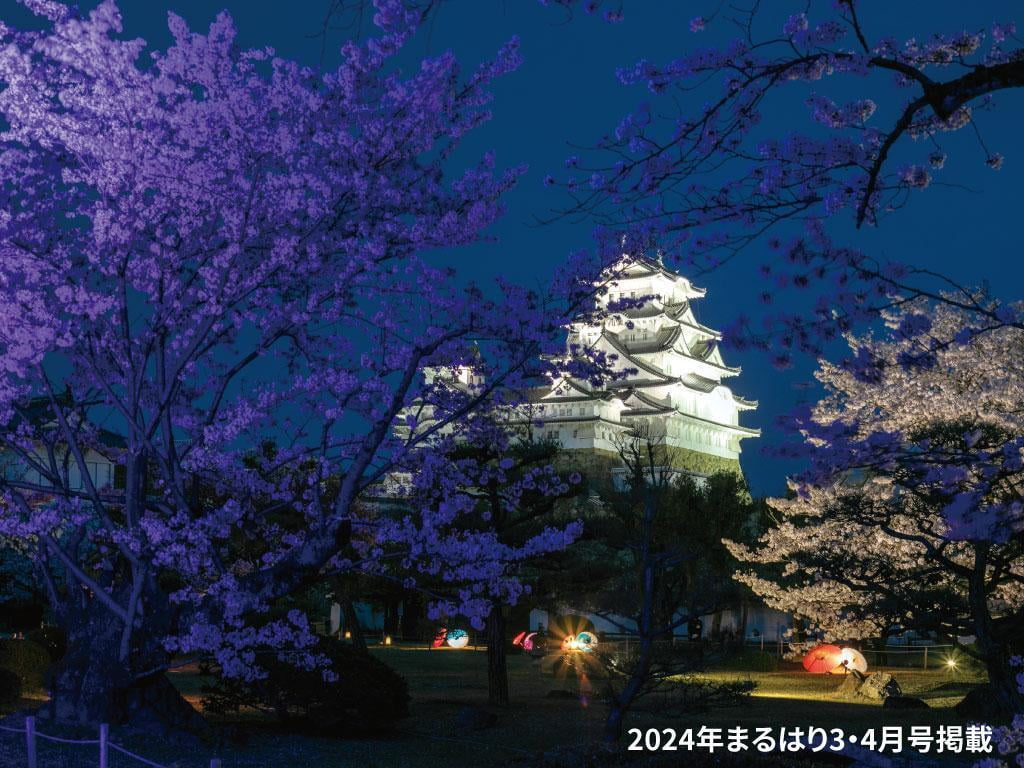 文字入れ加工_桜004姫路城夜桜会.jpg