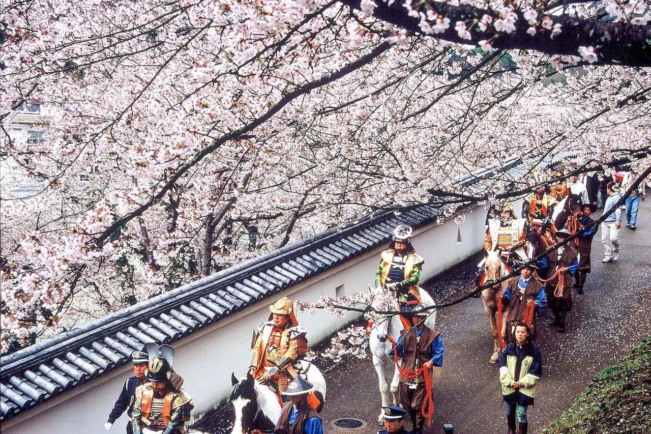 龍野さくらまつりの開催様子桜の下を通る龍野武者行列の写真.jpg