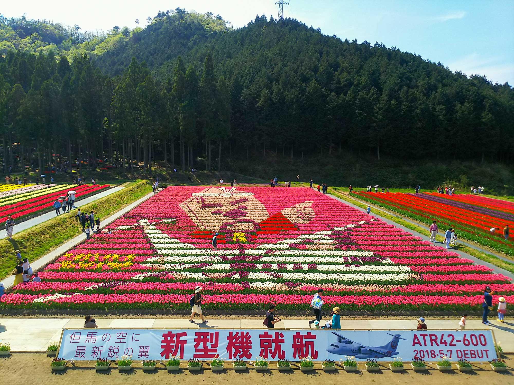 加工済_2503_花を愛でる_体験_たんとうチューリップまつり_写真01（2018_ふらいんぐ玄さん）.jpg