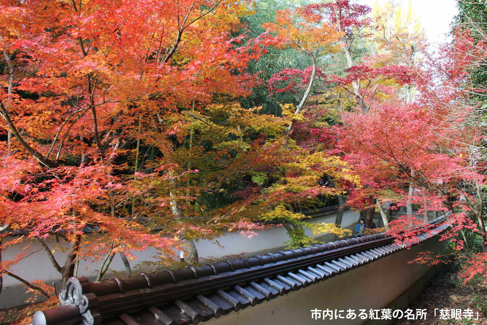 文字入れ_加工済_2409_ふるさと納税_三木市_写真02.jpg