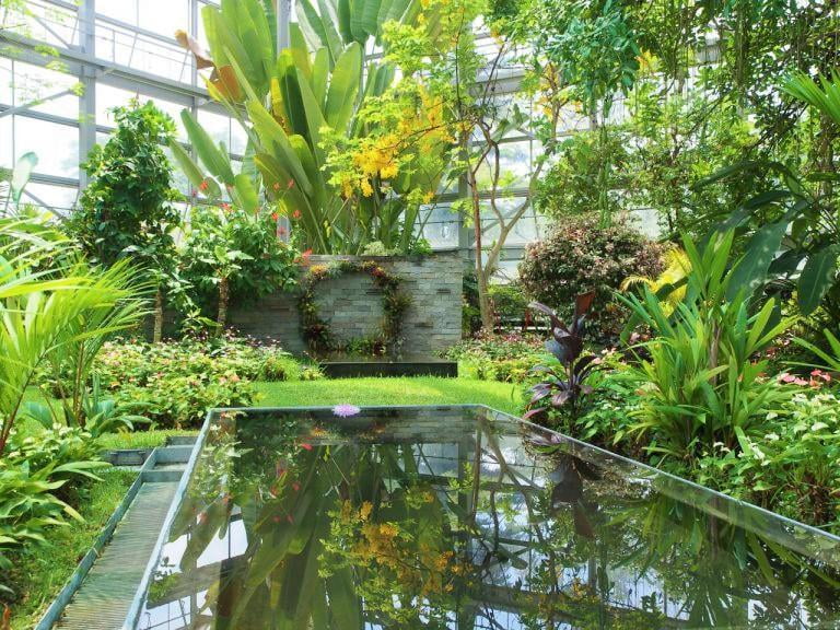 兵庫県立フラワーセンターの熱帯植物室