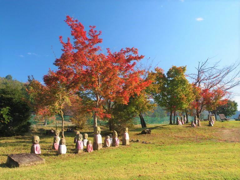 兵庫県立フラワーセンターの芝生公園