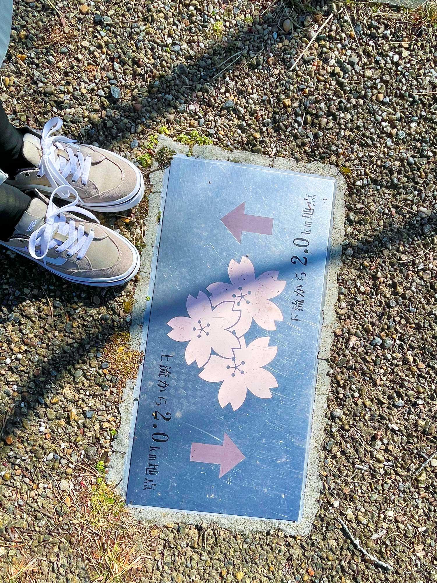 加工済_2503_小野市街ブラ02_桜づつみ回廊08.jpg
