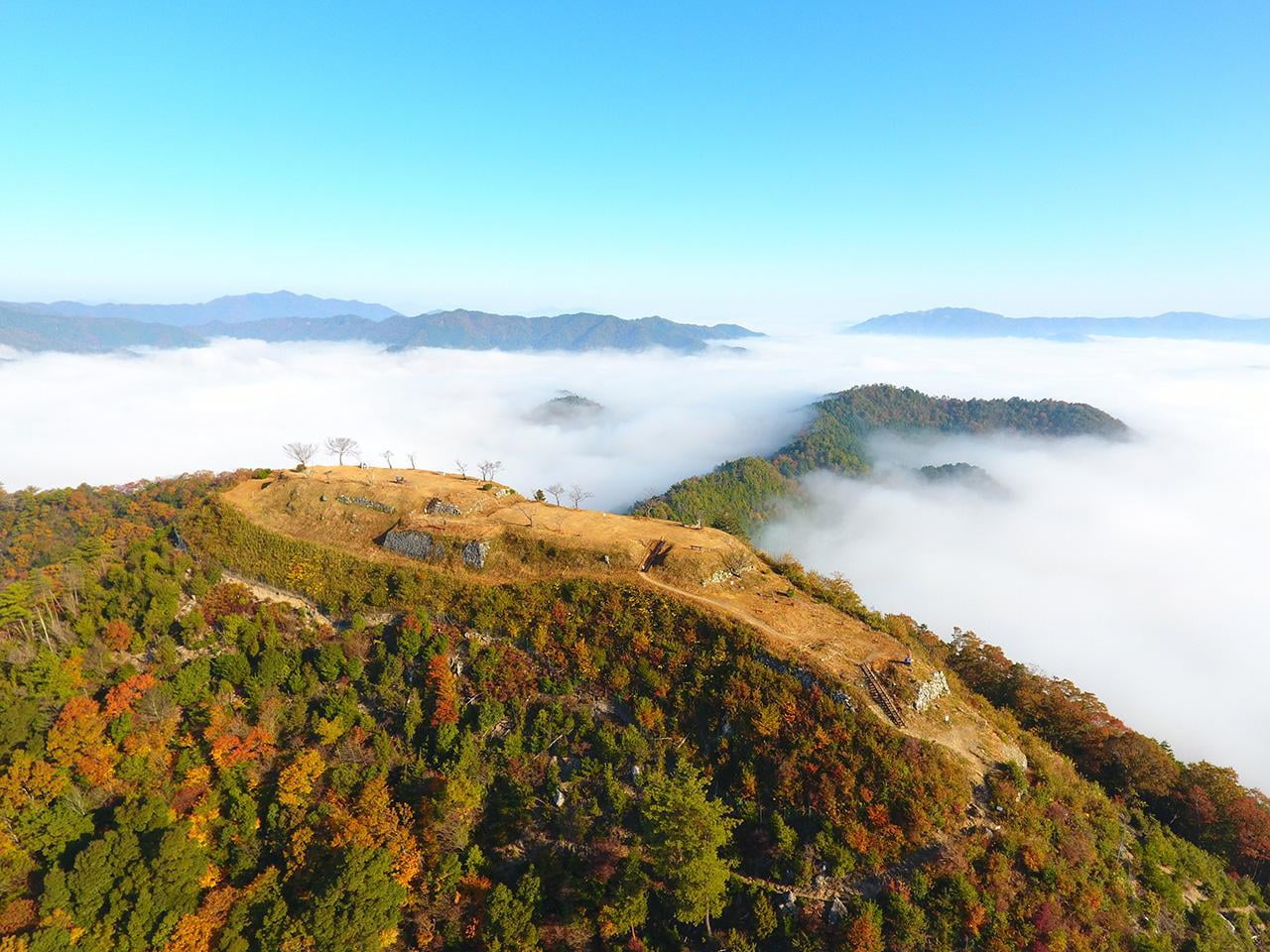 黒井城跡