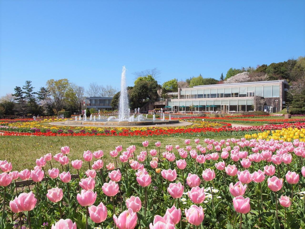 兵庫県立フラワーセンターの四季の花壇