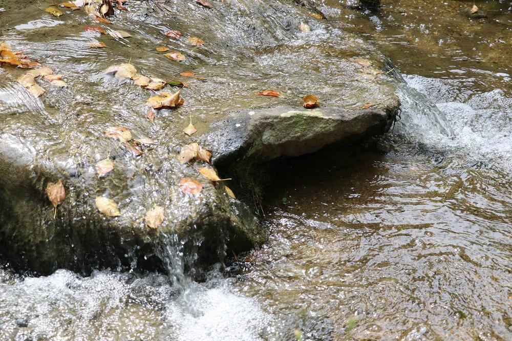 aIMG_5960.jpg