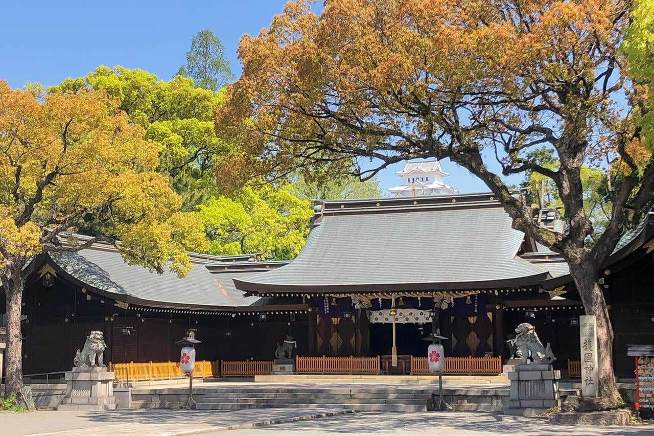 姫路市で七五三参りにおすすめの護國神社の社殿の写真