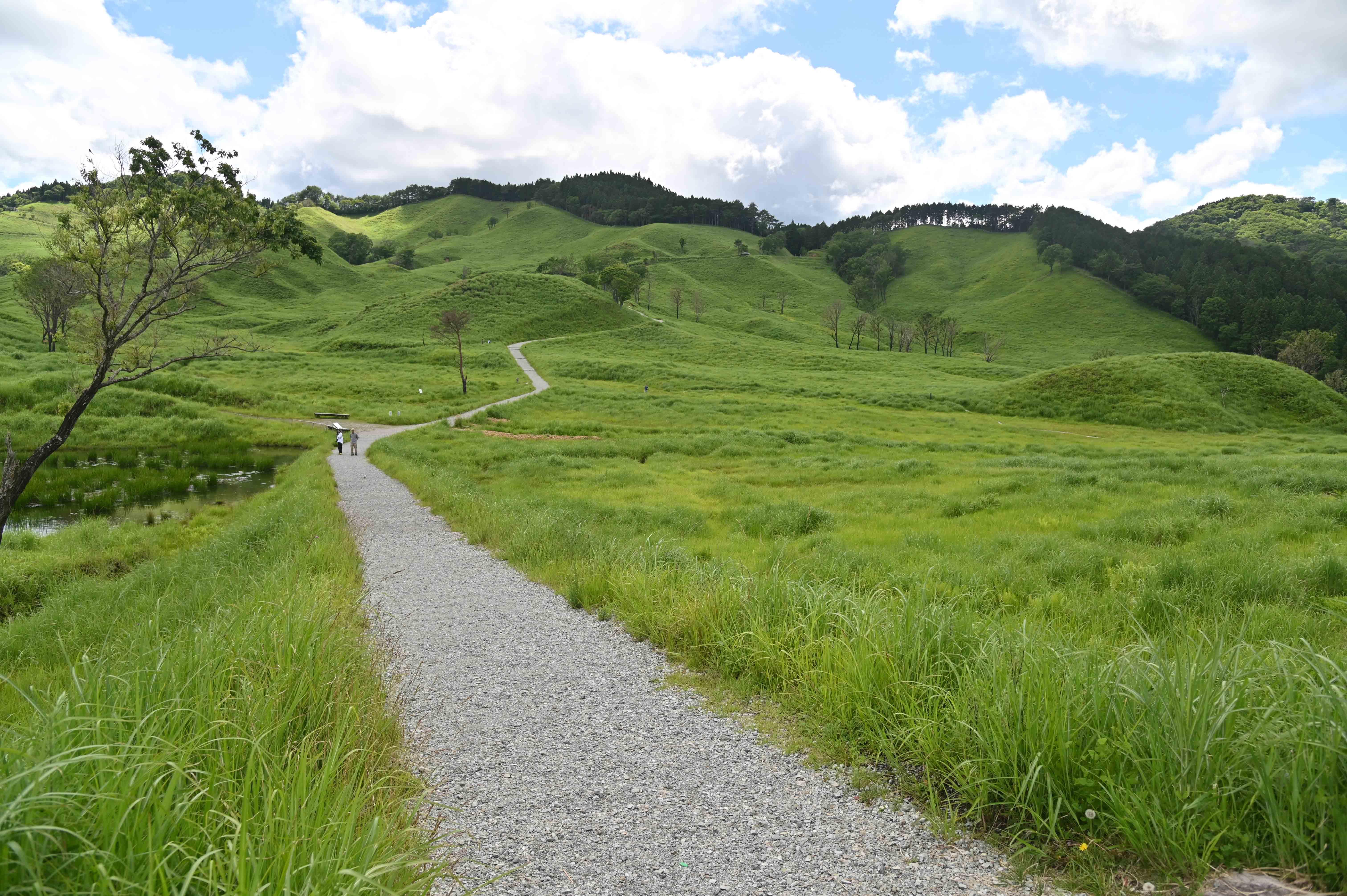 2408_BJ_砥峰高原_6529軽.jpg