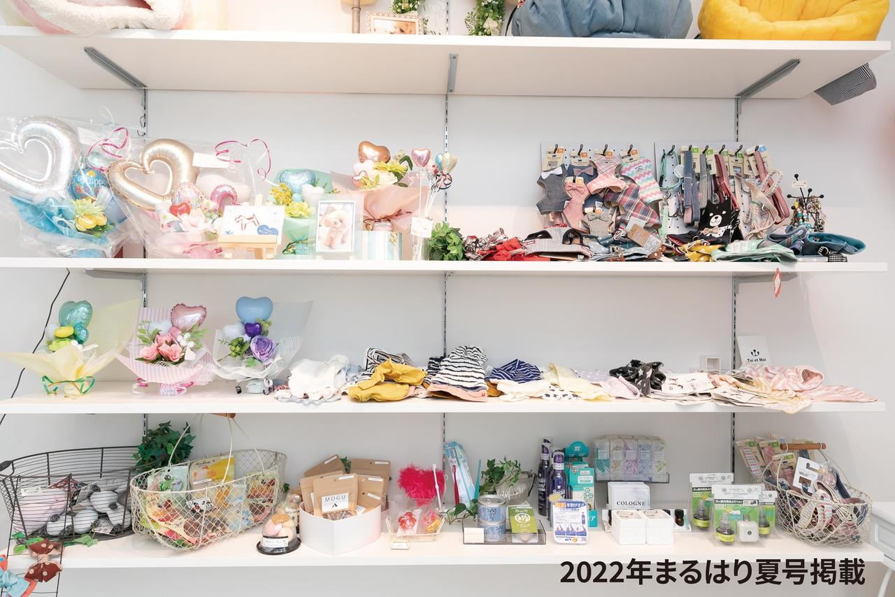 22natu_Wanns'Plus_03_横.jpg