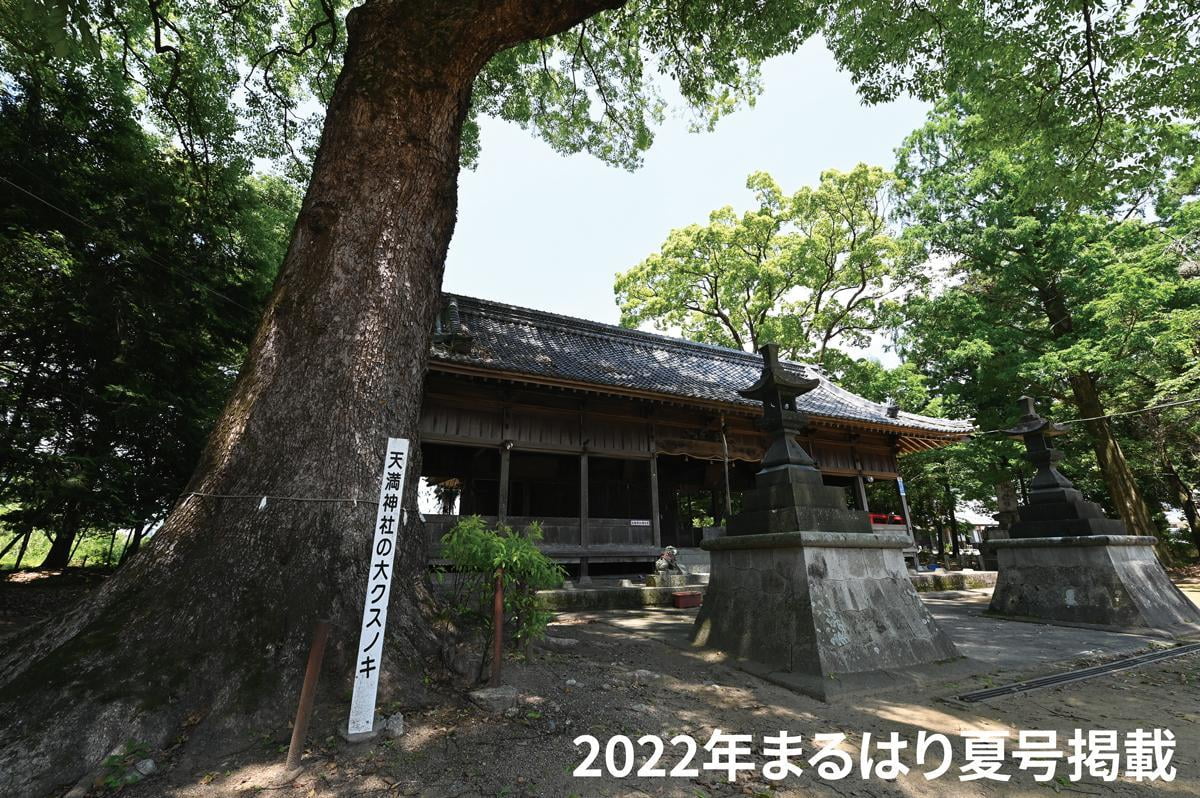 22natu_小室天満神社_3874.jpg