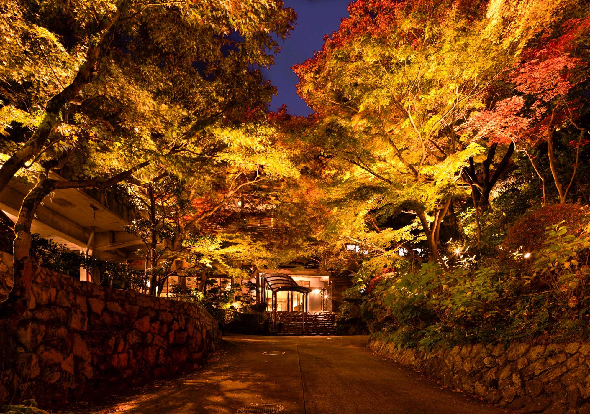 加工済_2411_絶景宿_紅葉_ねぎや_写真01.jpg