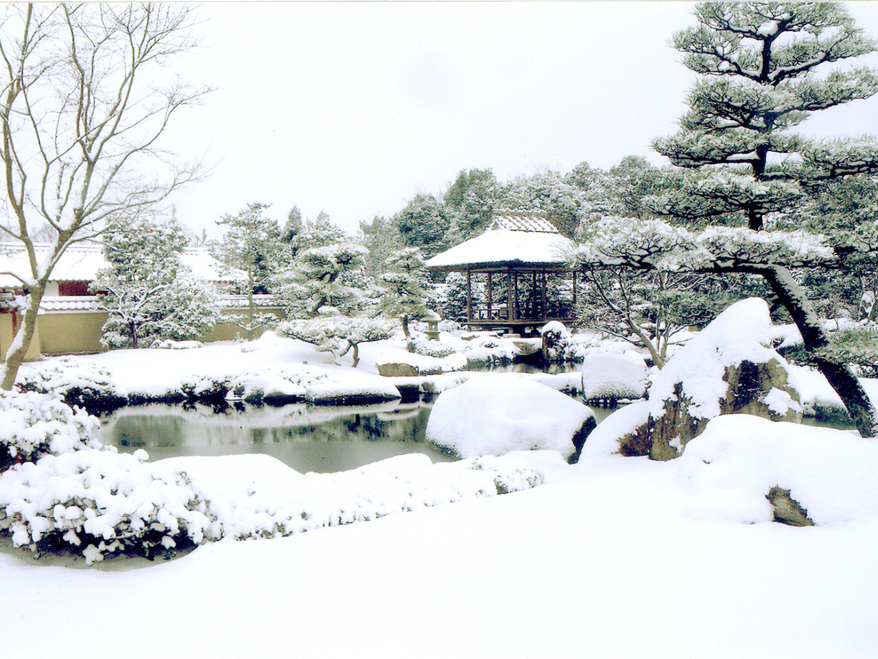 築山池泉の庭