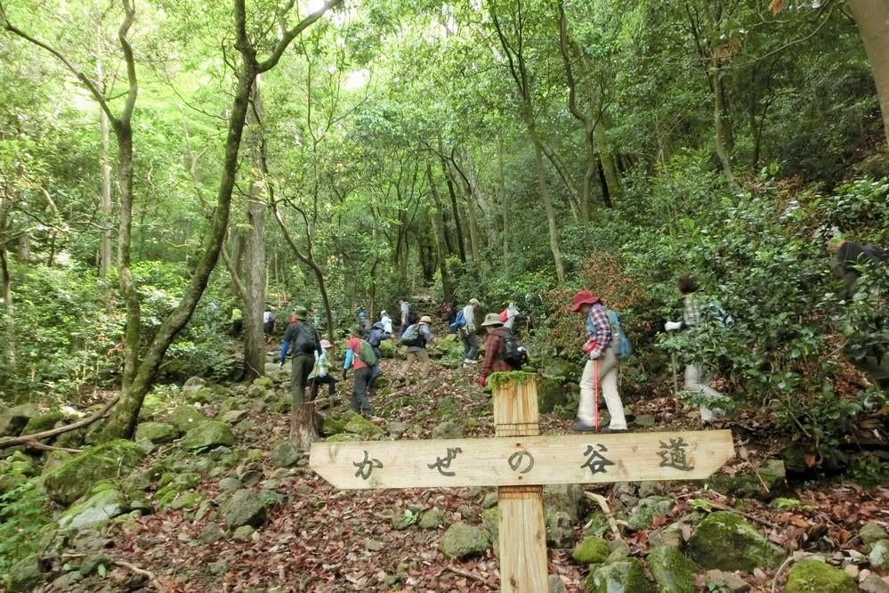 登山加工済み.jpg