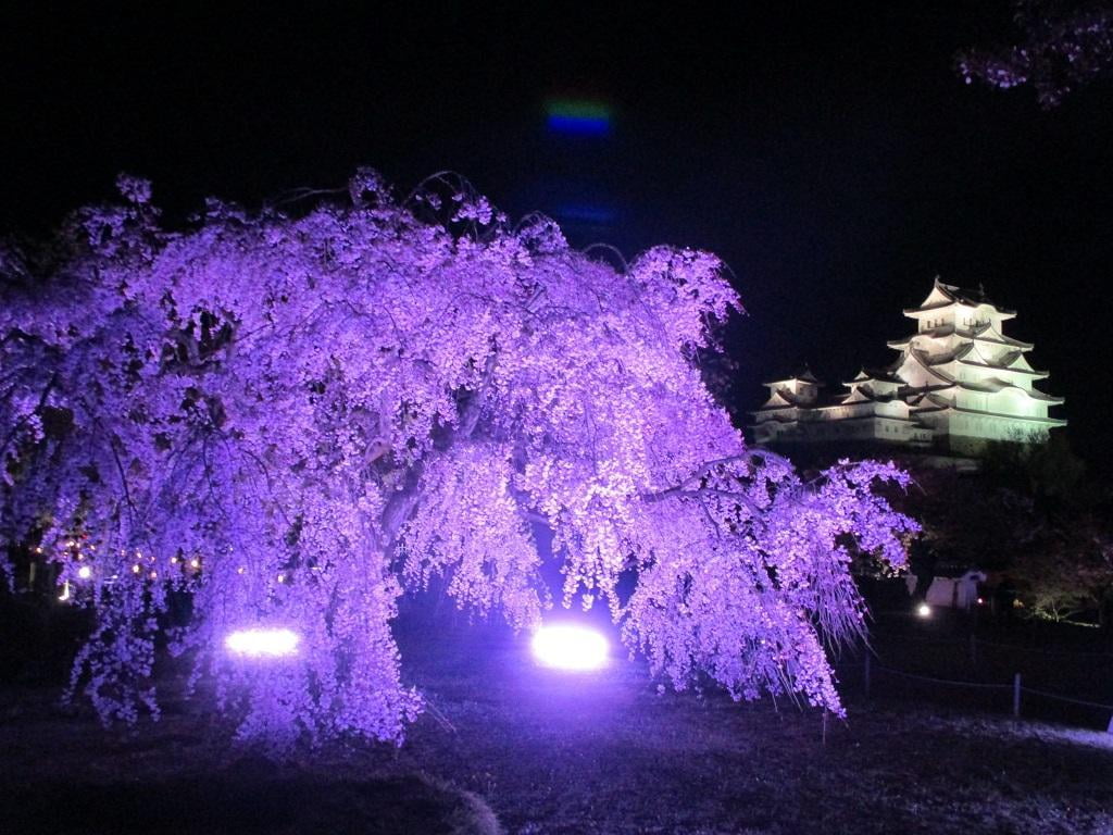 夜天守と西の丸枝垂れ.JPG