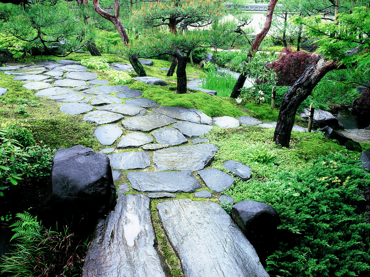 松の庭