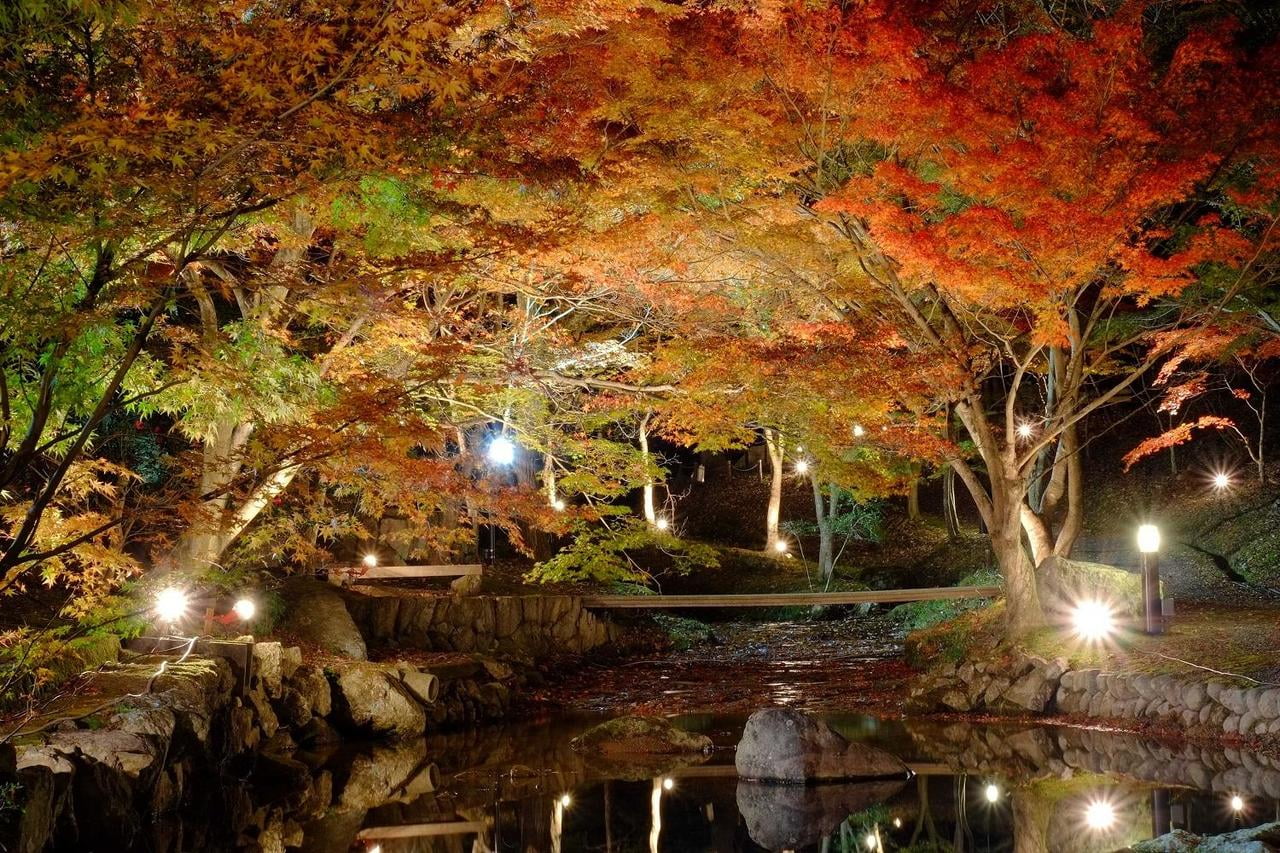 1東山公園.jpg