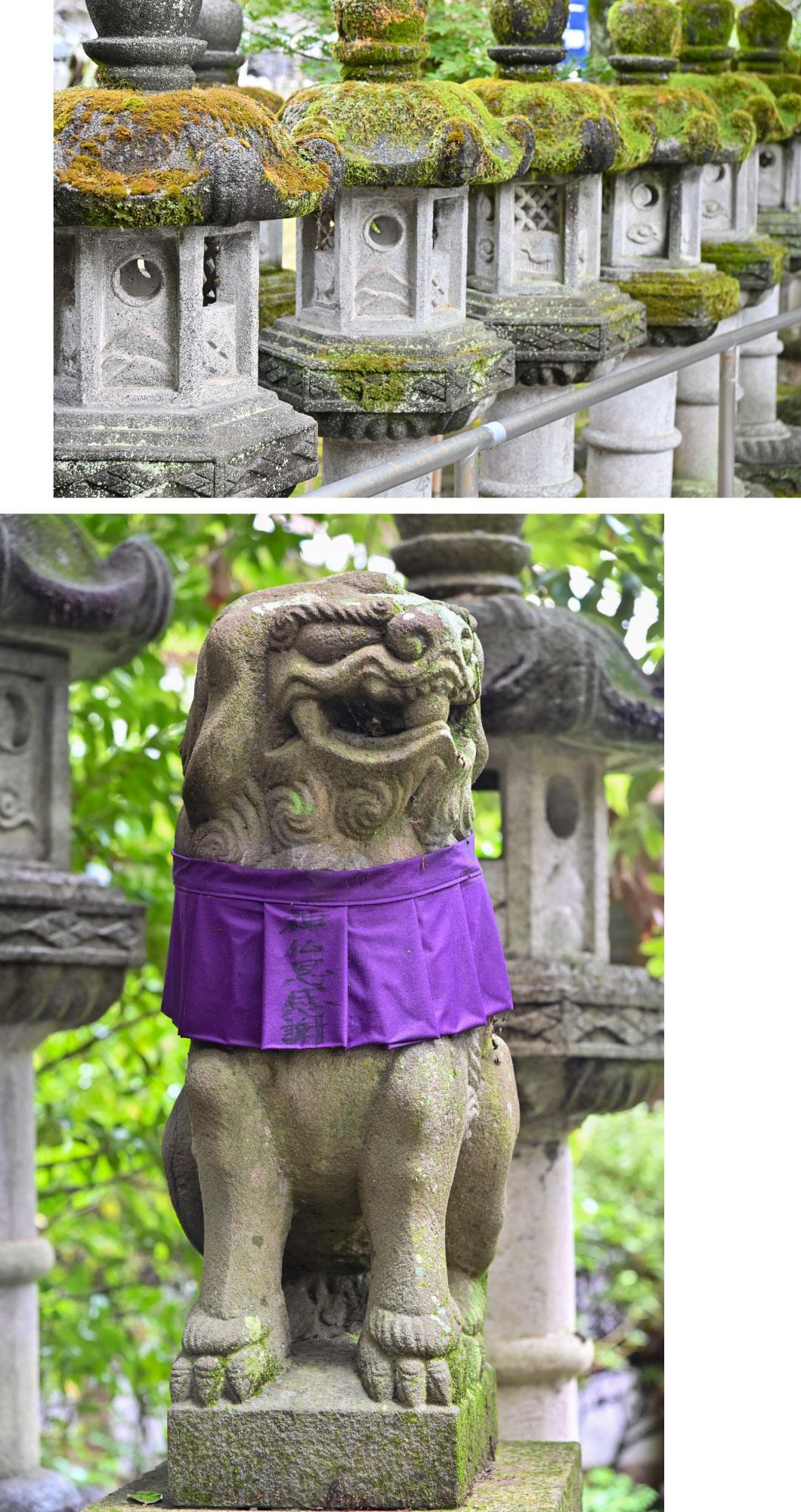 加工済_2412_BJ_3521＆3554.jpg