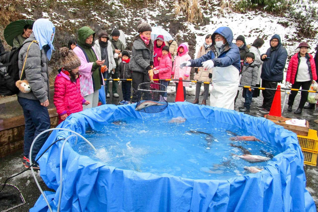 たつの市みつ梅まつりで雪の中鯛すくいに挑戦する女の子の写真