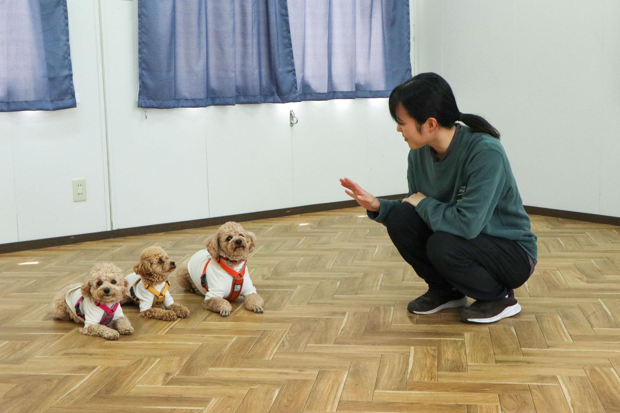 加工済_2606_特集「ペット」_Everyone's-Garden_写真01.jpg