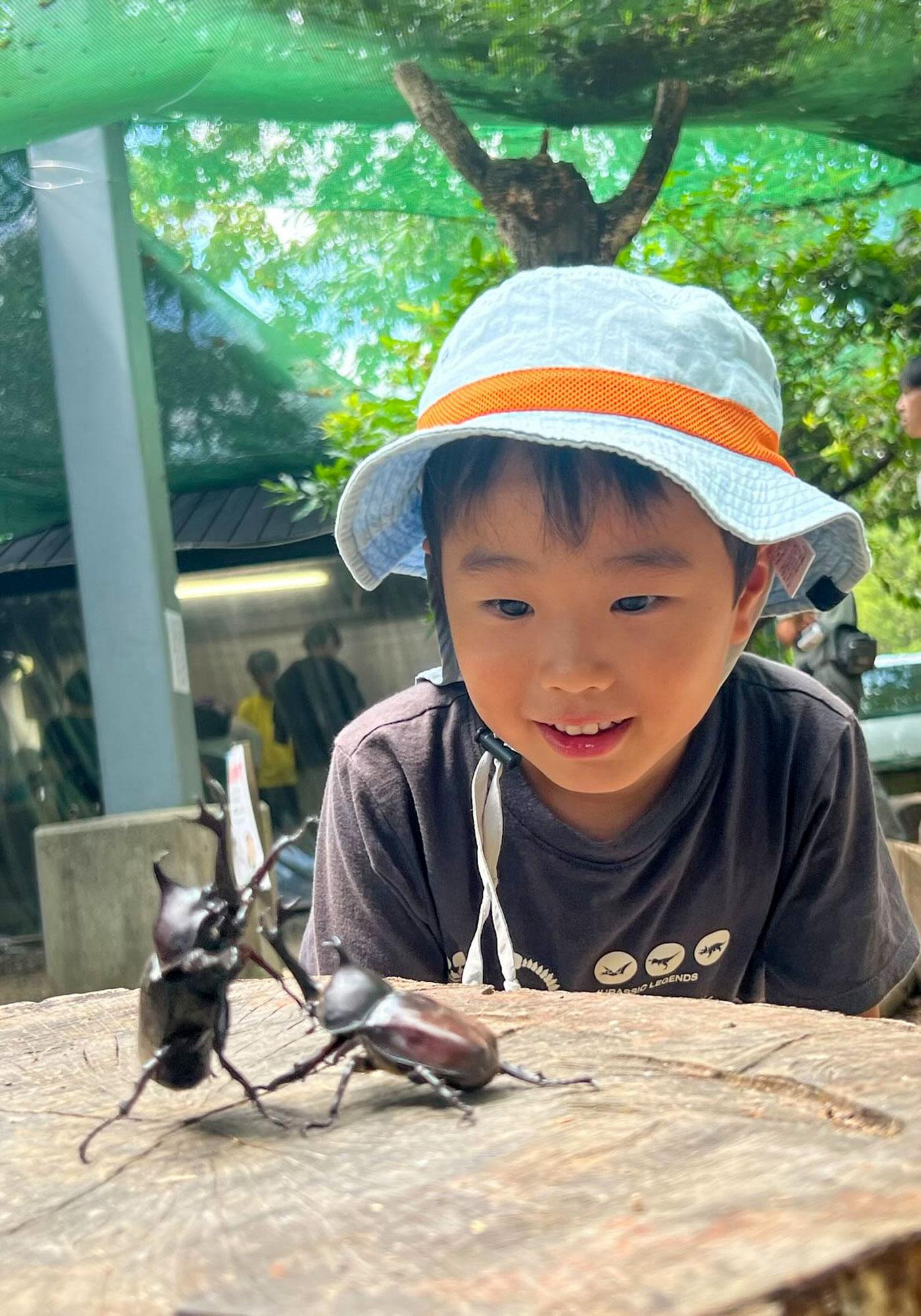 加工済_2606_えばらの森カブトムシドーム_写真03.jpg