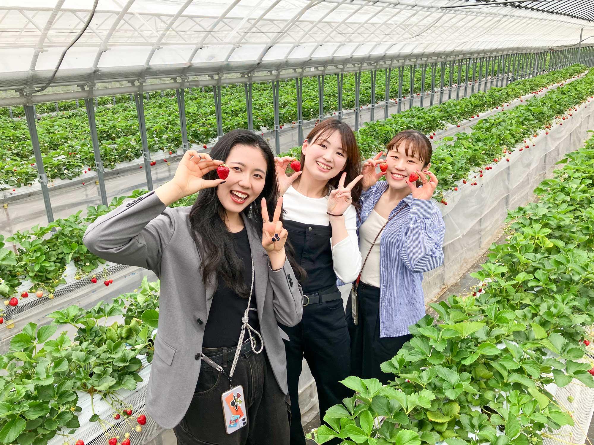 加工済_2502_苺一笑_姫路ハートフル観光農園_sub2.jpg