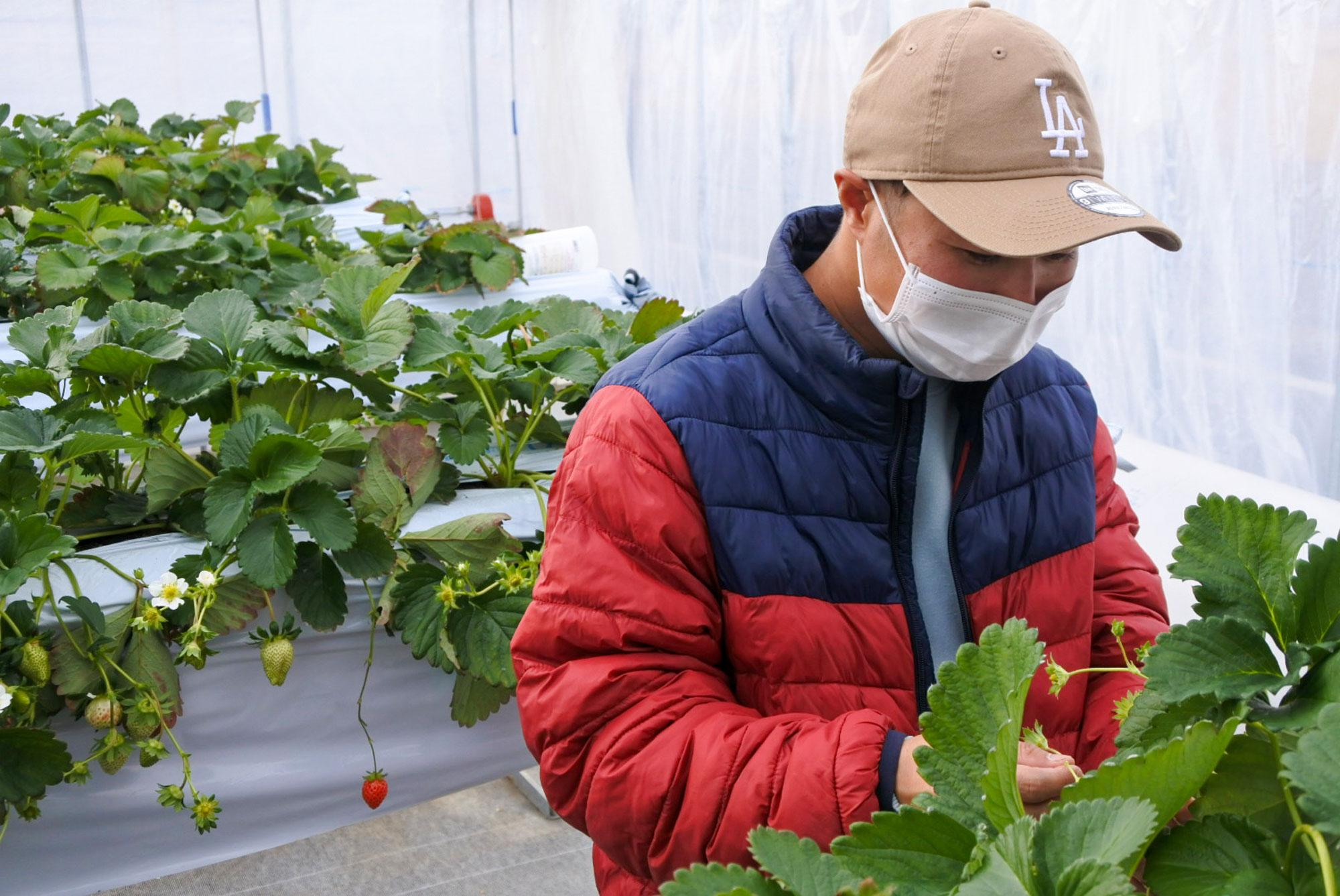 加工済_25_2_nisshifarm_sub_03.jpg