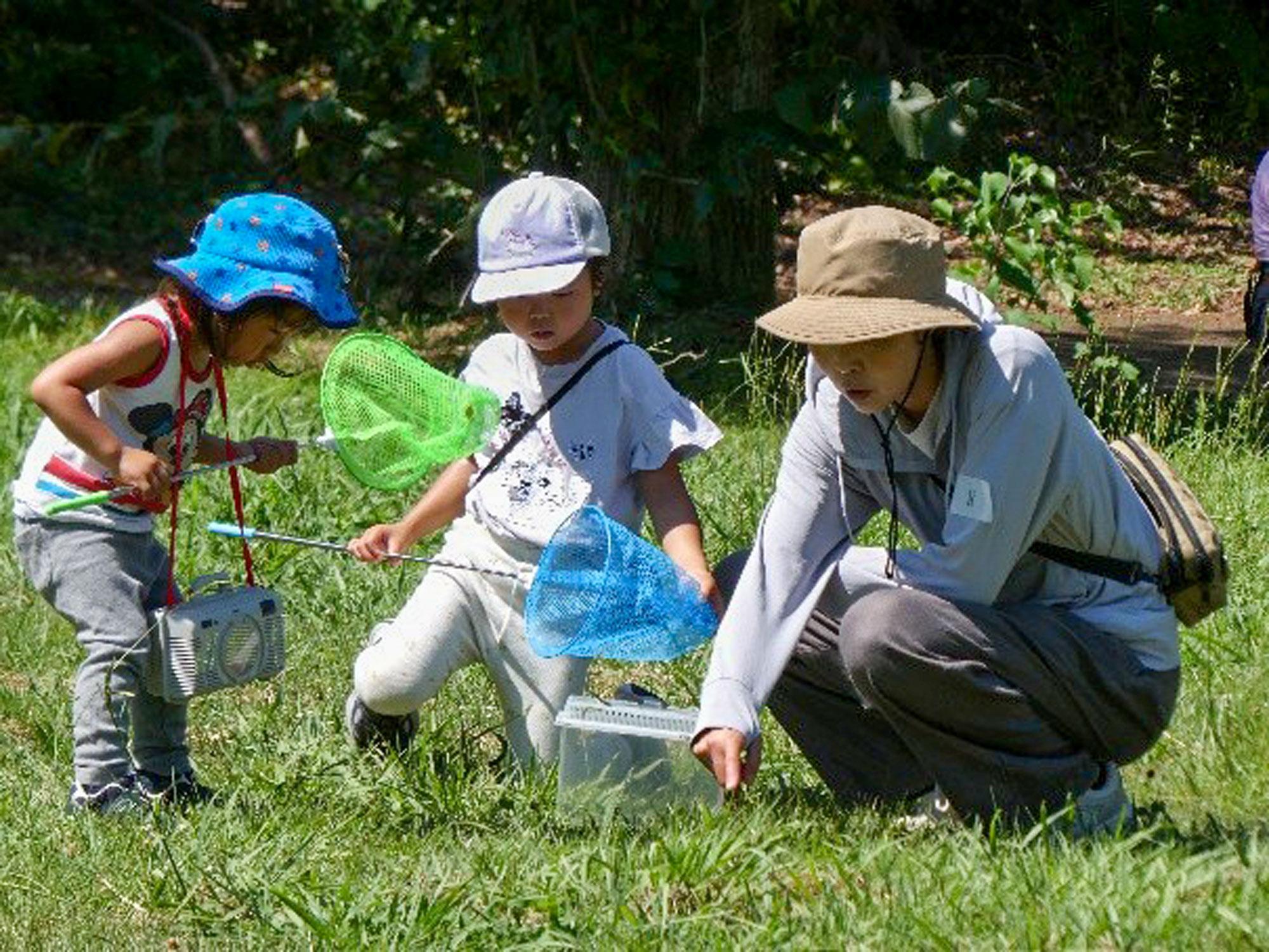 加工済_さがそう、さわろう、しらべよう、あんな虫、こんな虫.jpg