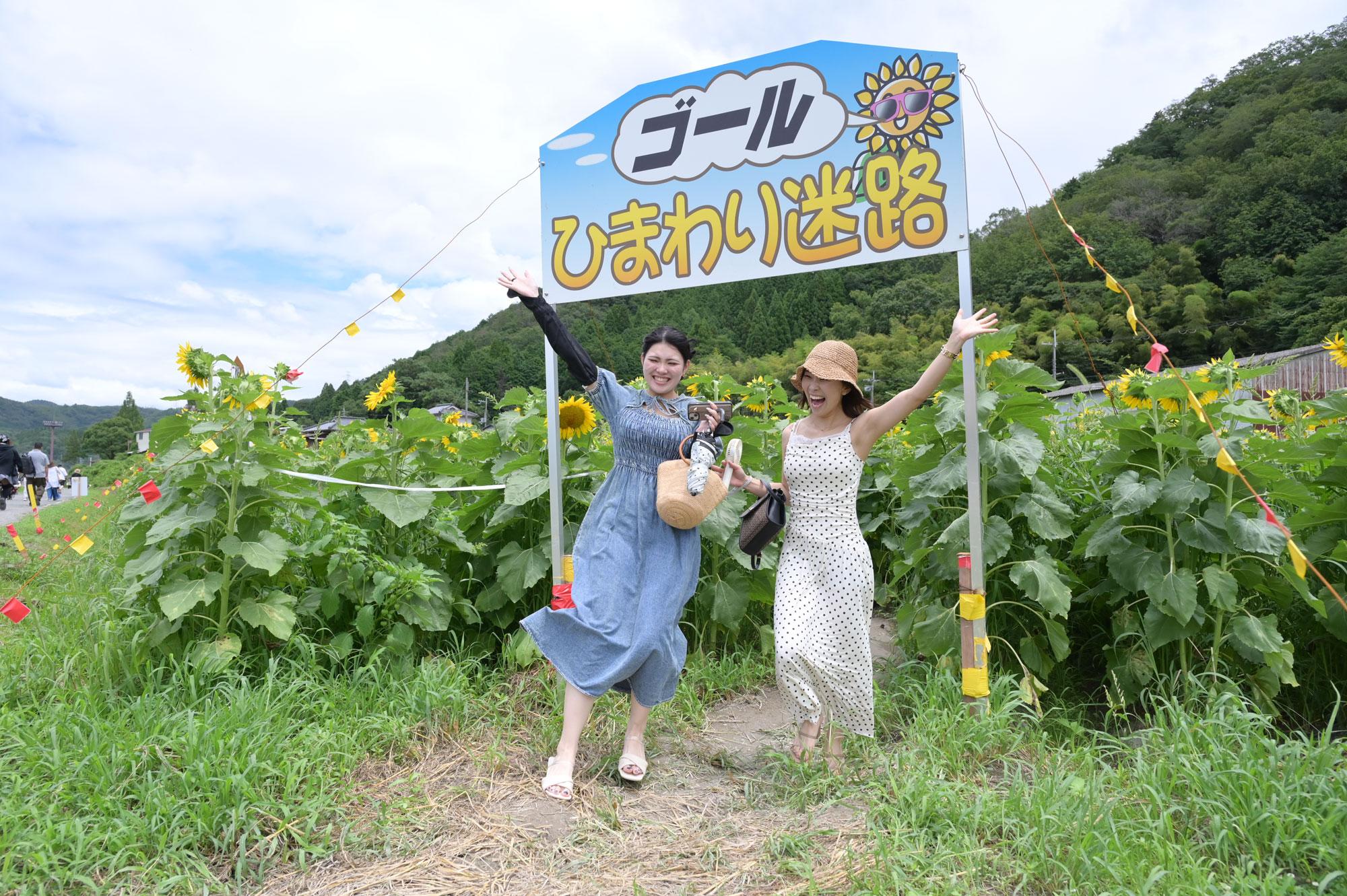 加工済_2607_佐用町01_南光ひまわり祭り_04.jpg