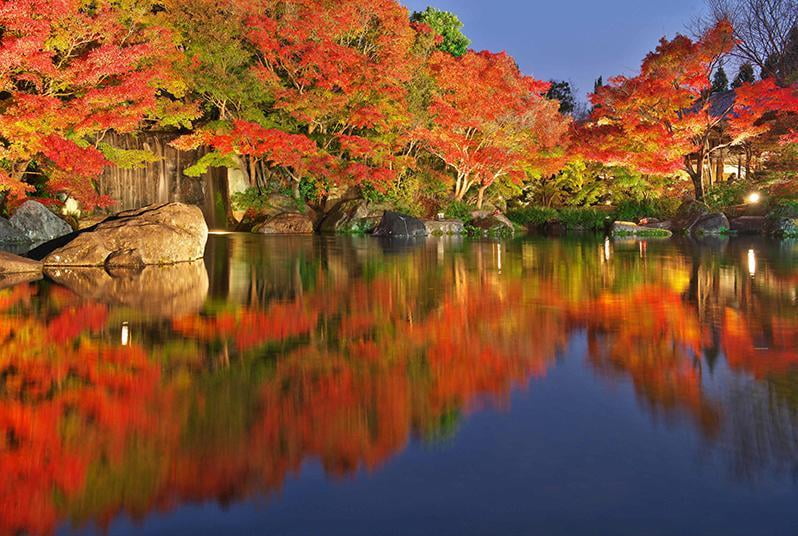 加工済み好古園＊紅葉会 -池.jpg