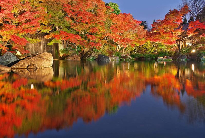 加工済み好古園＊紅葉会 -池.jpg