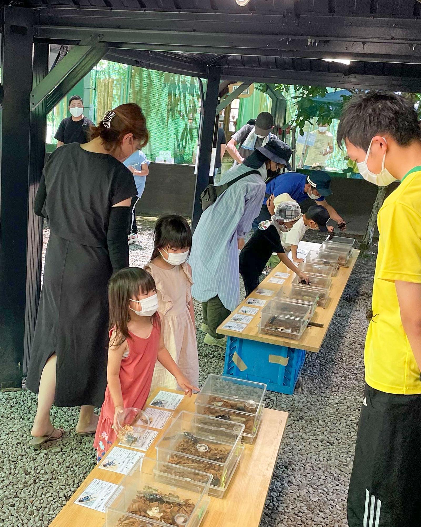 加工済_2606_えばらの森カブトムシドーム_写真02.jpg